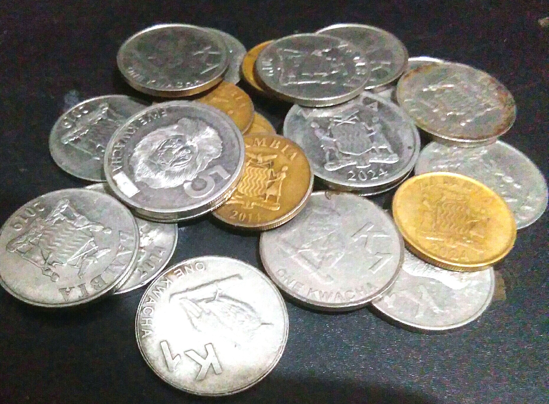 Donate Section